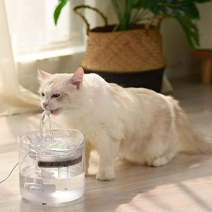 Dispensador Eléctrico de Agua Inteligente para Mascotas